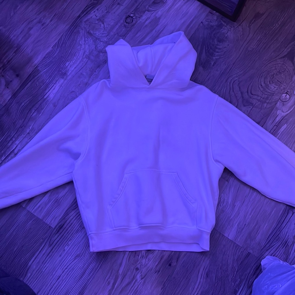 aritzia hoodie
